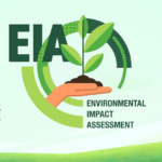 Environmental Impact Assessment